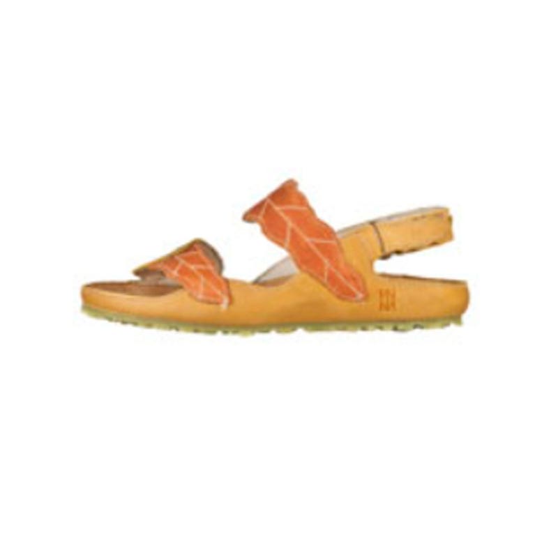 El naturalista N119 IKEBANA