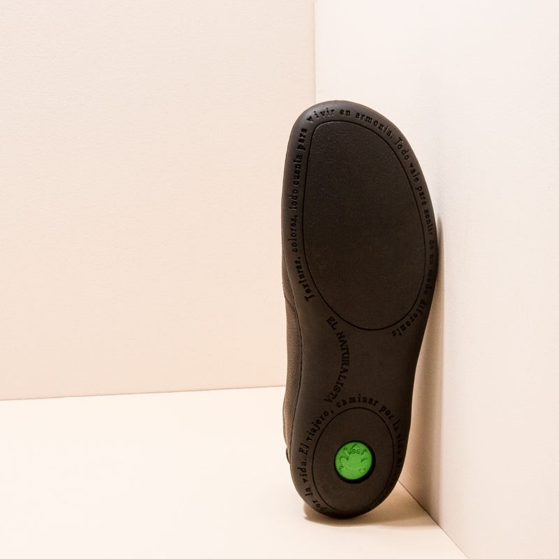 El Naturalista N296 EL VIAJERO