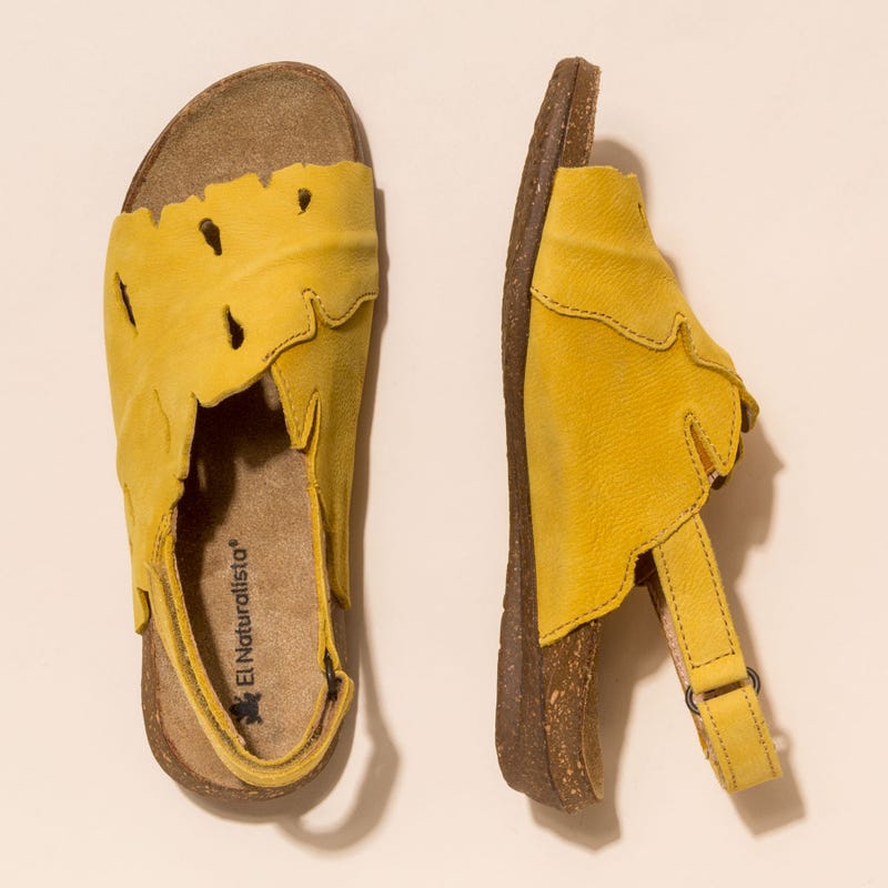 El Naturalista N5068 PLEASANT CURRY / WAKATAUA