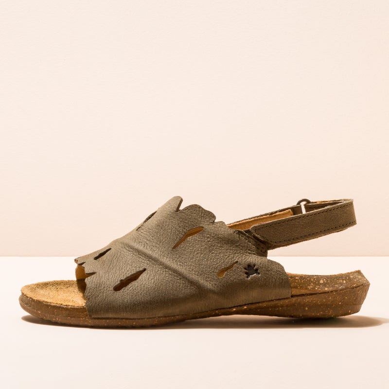 El naturalista N5068 PLEASANT KAKI / WAKATAUA