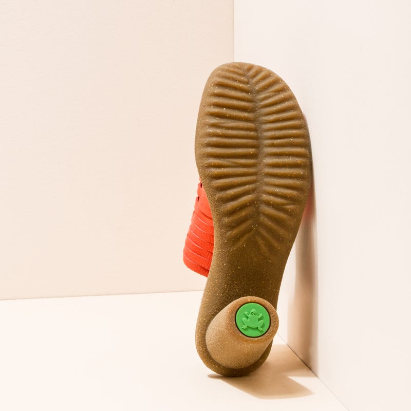 El Naturalista N5162 PLEASANT CORAL / TRIVIA