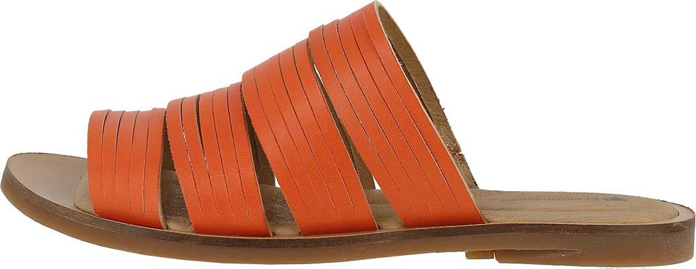 El naturalista N5183 VAQUETILLA CARROT / TULIP