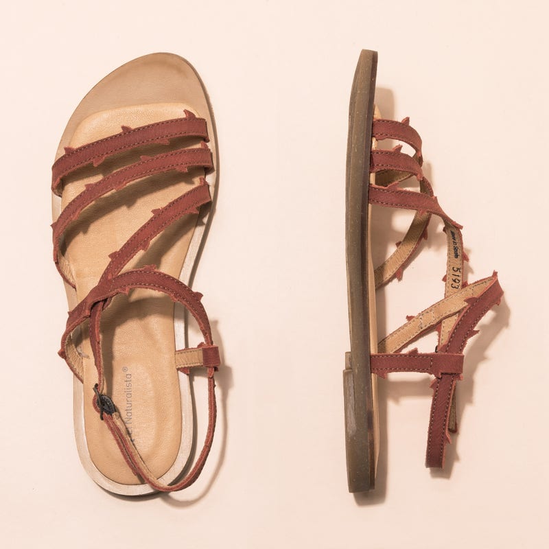 El Naturalista N5193 PLEASANT CALDERA / TULIP