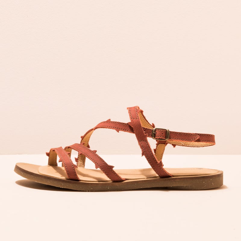 El naturalista N5193 PLEASANT CALDERA / TULIP