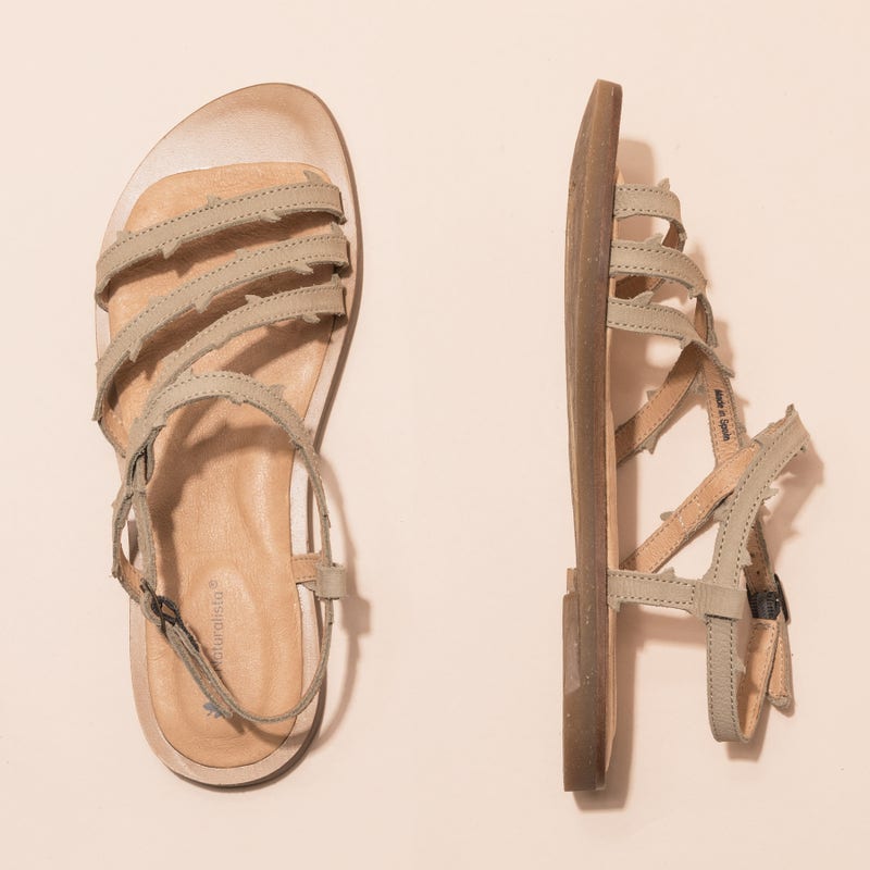 El Naturalista N5193 PLEASANT LIQUEN / TULIP