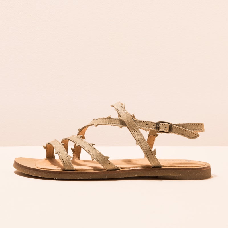 El naturalista N5193 PLEASANT LIQUEN / TULIP