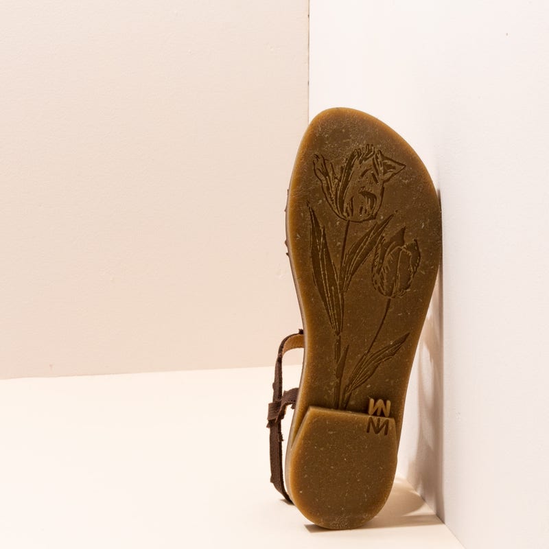 El Naturalista N5193F PLEASANT BROWN / TULIP