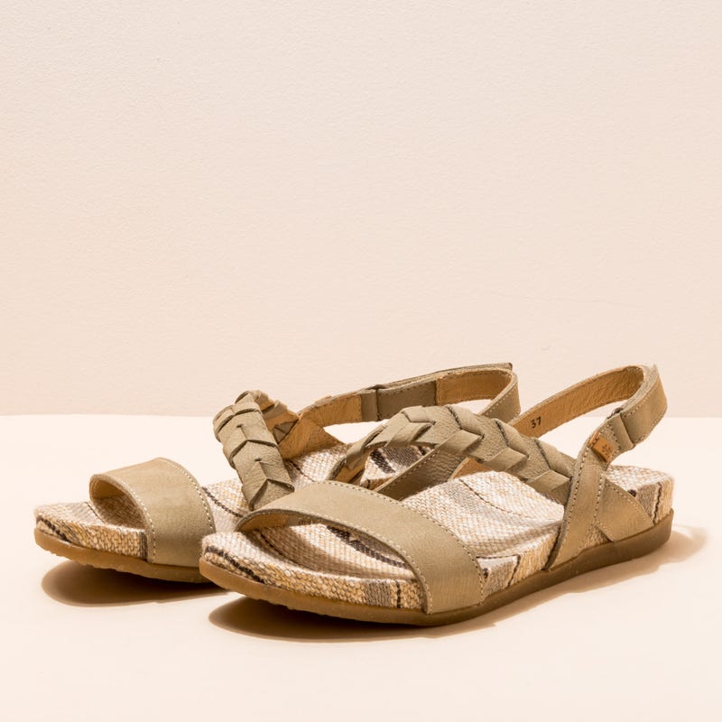 El Naturalista N5255 PLEASANT LIQUEN / ZUMAIA