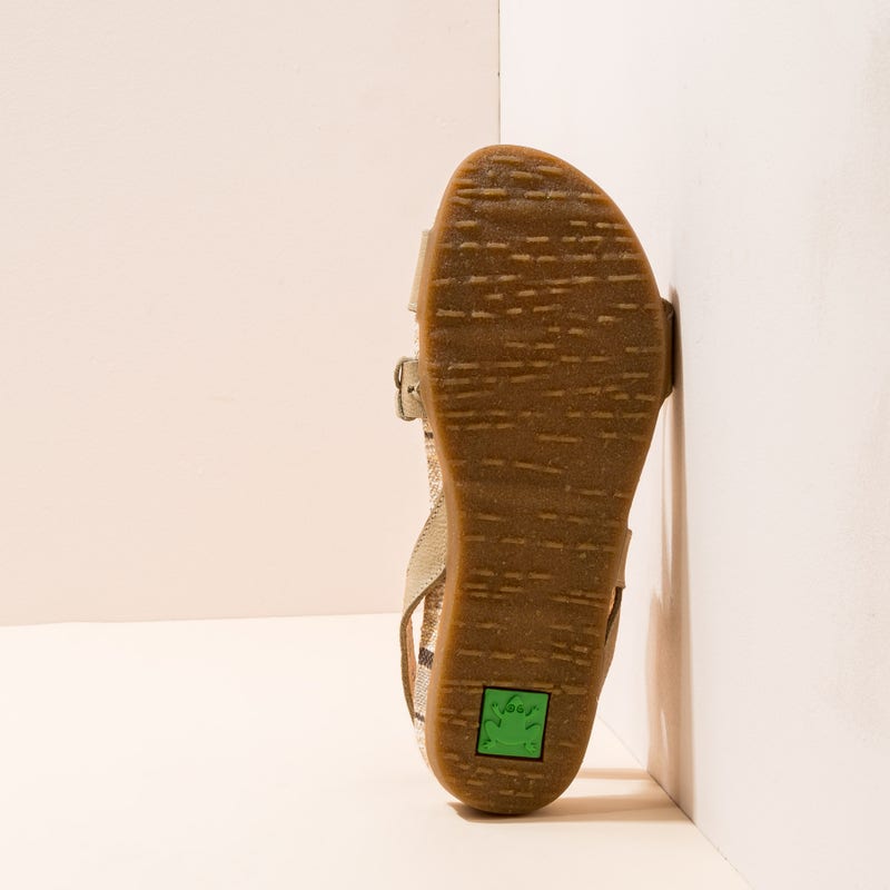 El Naturalista N5255 PLEASANT LIQUEN / ZUMAIA