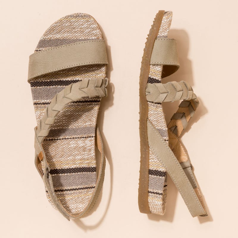 El Naturalista N5255 PLEASANT LIQUEN / ZUMAIA