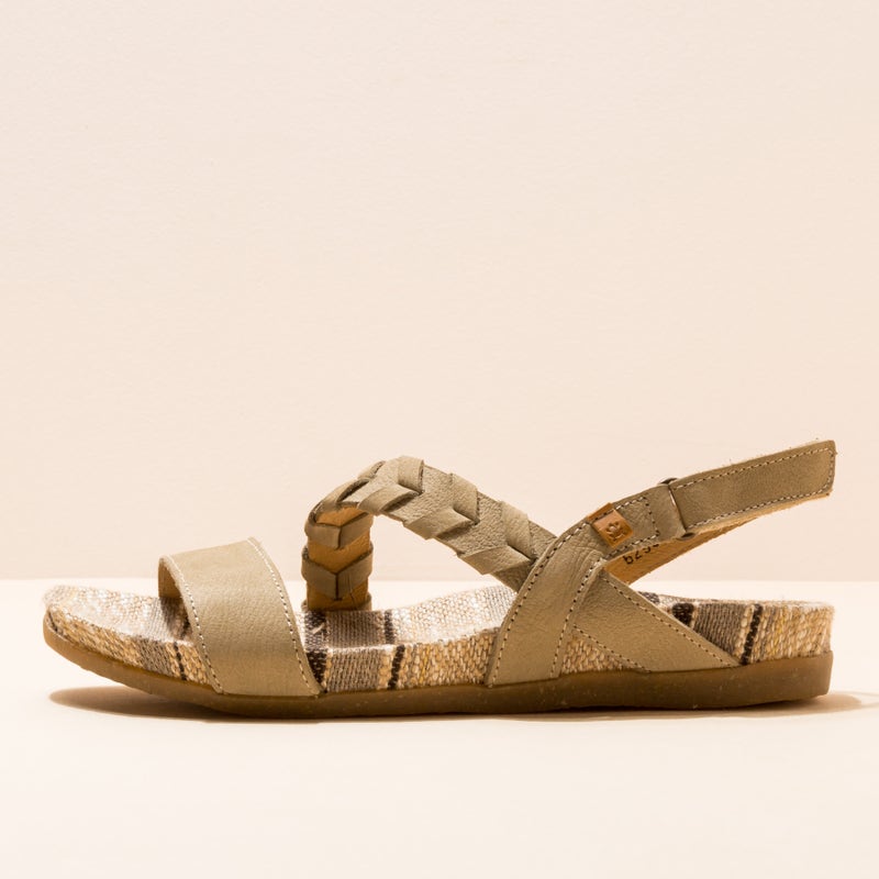 El naturalista N5255 PLEASANT LIQUEN / ZUMAIA