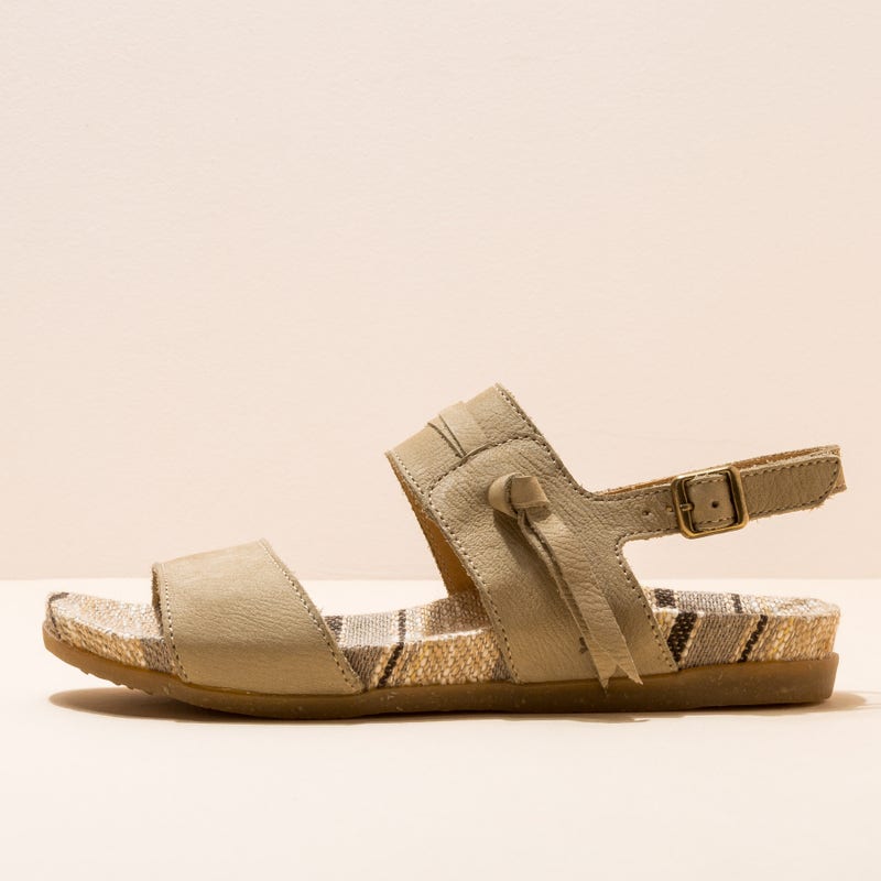 El naturalista N5256 PLEASANT LIQUEN / ZUMAIA