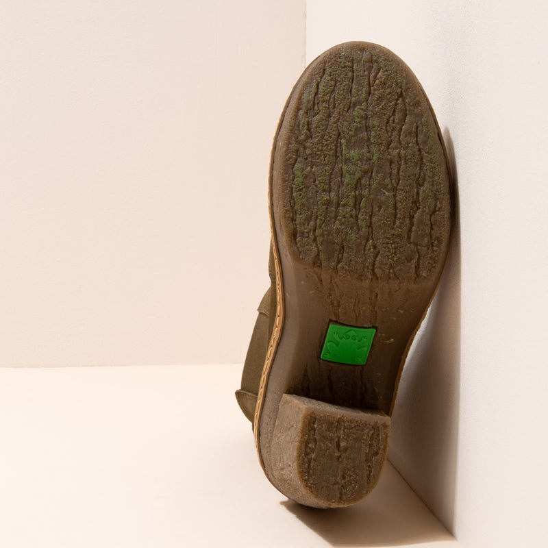 El Naturalista N5431 PLEASANT FOREST / HAYA