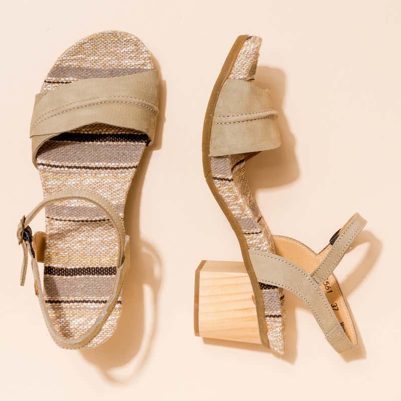 El Naturalista N5561 PLEASANT LIQUEN /DEBA