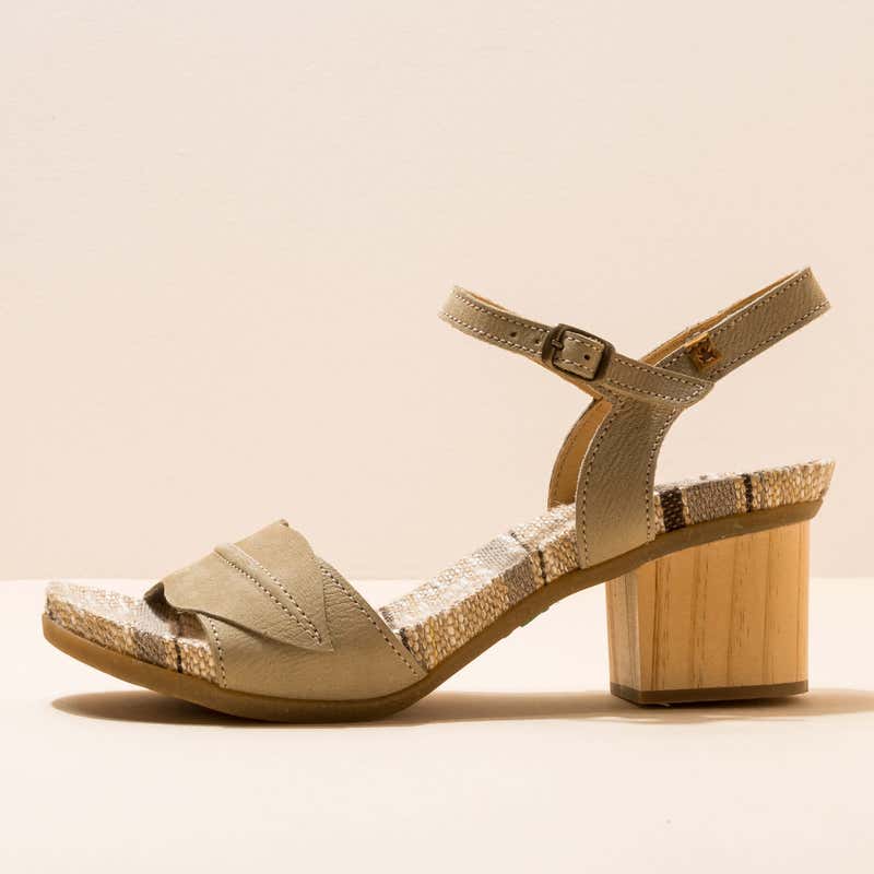 El naturalista N5561 PLEASANT LIQUEN /DEBA