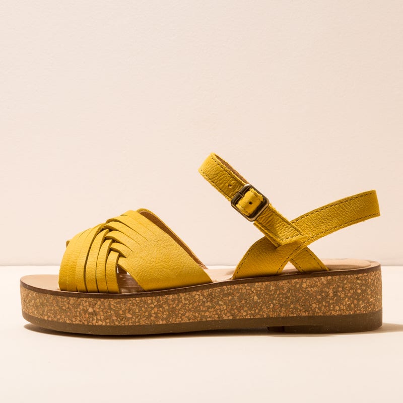 El naturalista N5590 PLEASANT CURRY / TÜLBEND