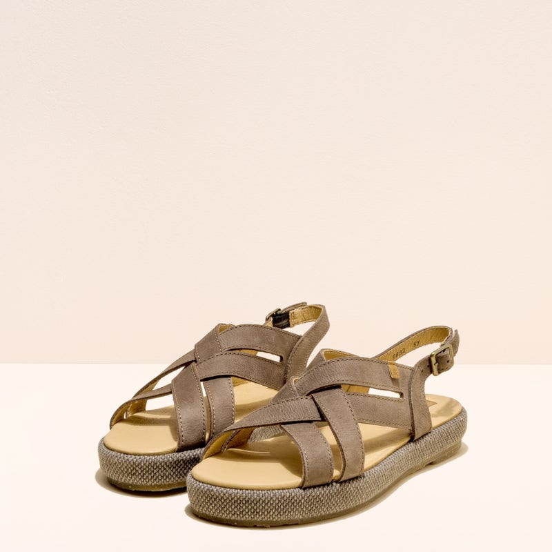 El Naturalista N5882 PLEASANT PLUME / BOSANA