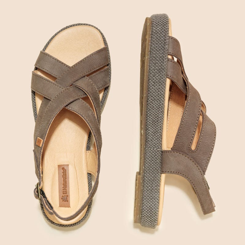 El Naturalista N5882 PLEASANT PLUME / BOSANA