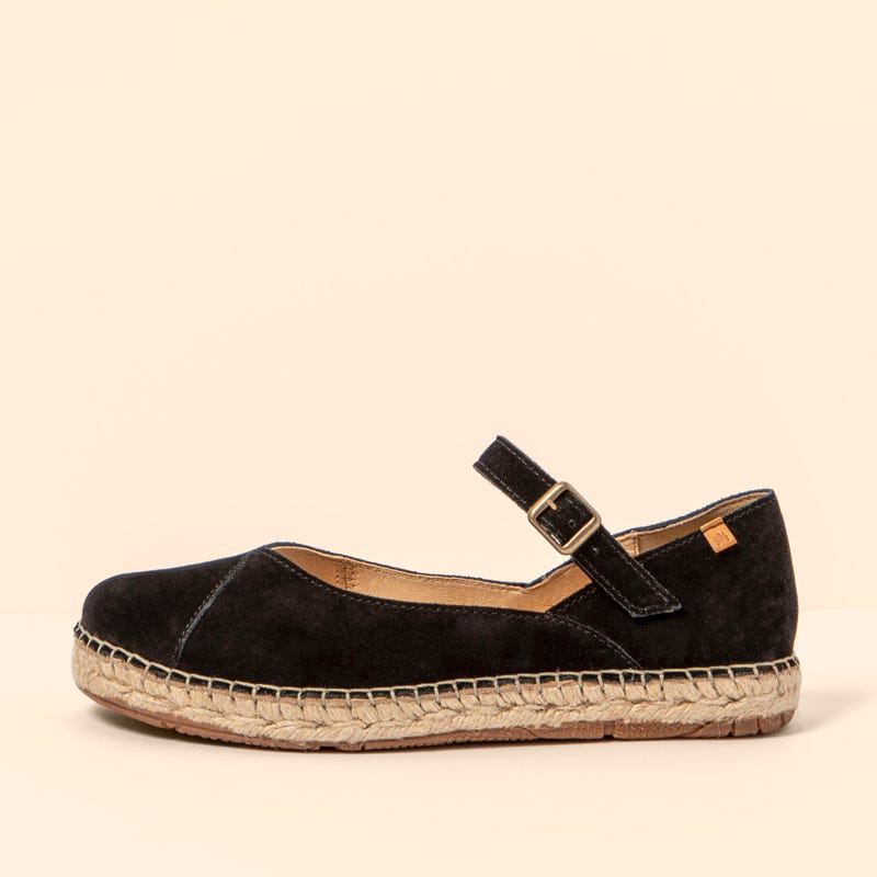 El naturalista N679 CAMPOS