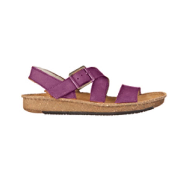 El Naturalista ND30 CONTRADICION