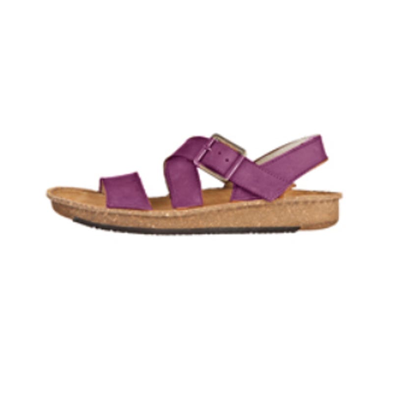 El naturalista ND30 CONTRADICION