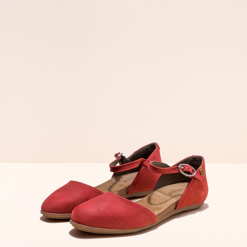 El Naturalista ND54 STELLA