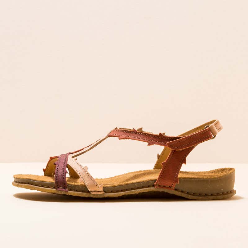 El naturalista N5815 PLEASANT CALDERA MIXED/PANGLAO