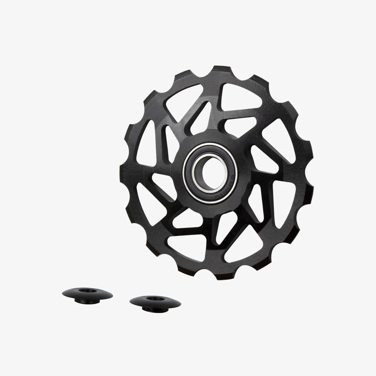 Eltin Roldana 15 Dientes