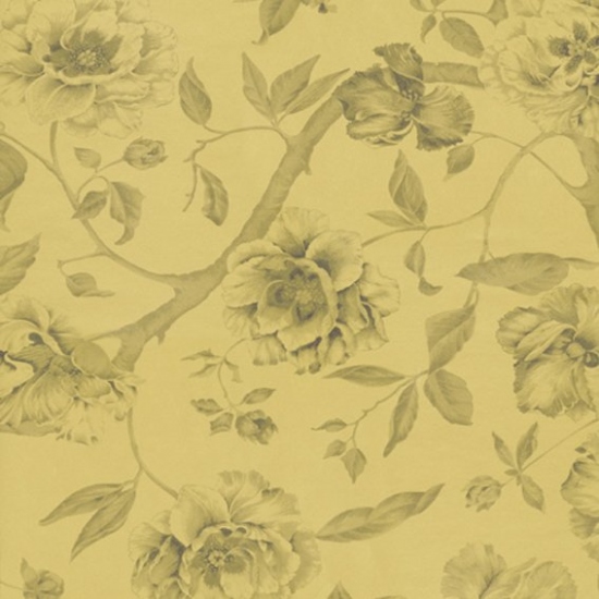 Equipo drt Adagio 116 Oro