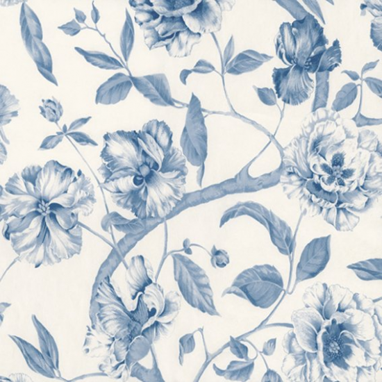 Equipo drt Adagio 335 Azul