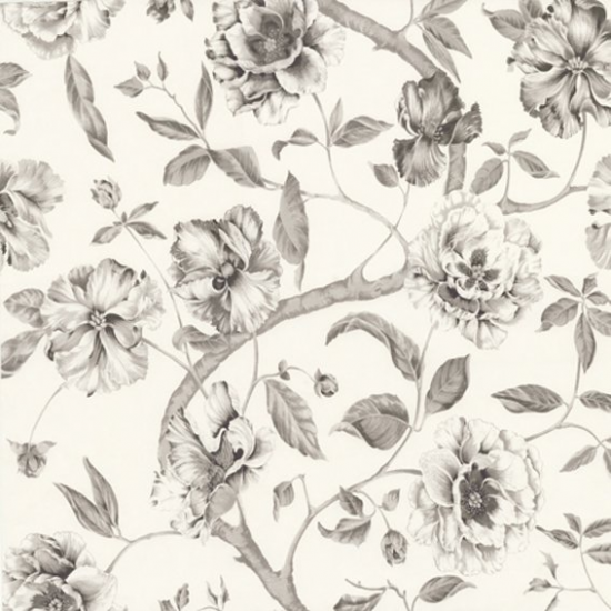 Equipo drt Adagio 995 Gris