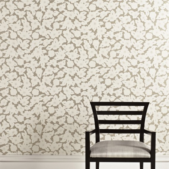 Equipo Drt Albinoni 991 Plata