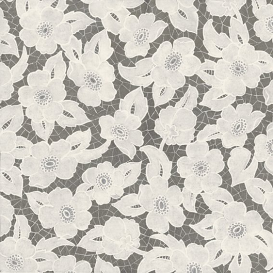 Equipo Drt Albinoni 991 Plata