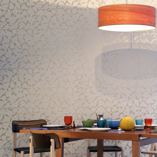 Equipo Drt Albinoni 991 Plata