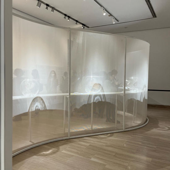 Equipo Drt Cefiro 017 Alpaca