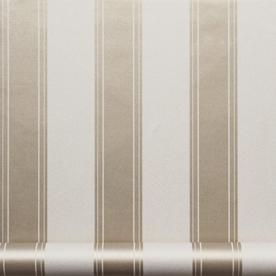 Equipo Drt Cornaro 112 Dore