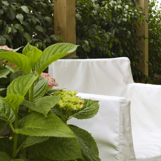 Equipo Drt Elba 001 Blanco