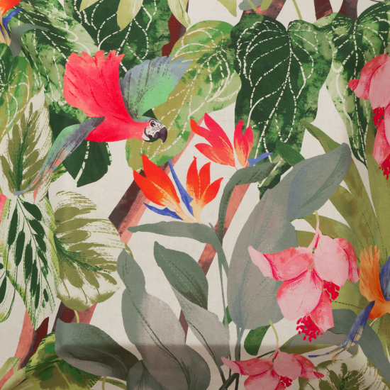 Equipo Drt Java 007 Crudo