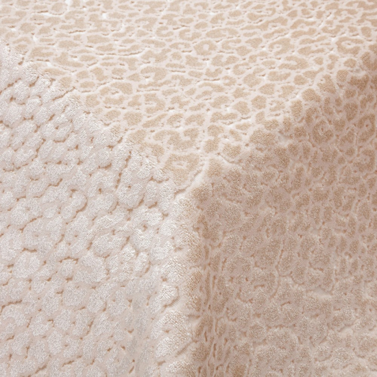 Equipo drt Kenia 005 Crema