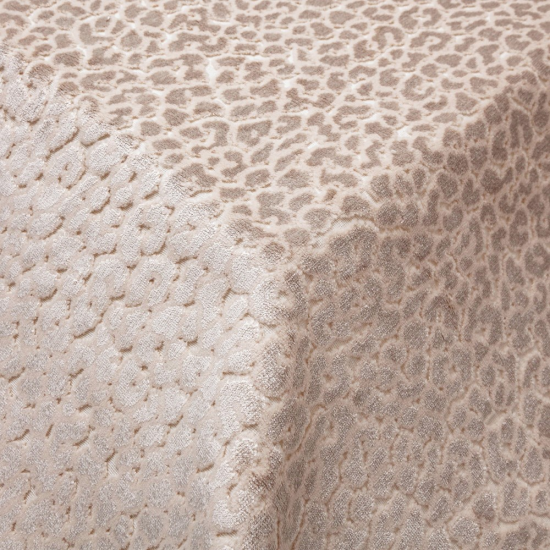 Equipo drt Kenia 220 Arena