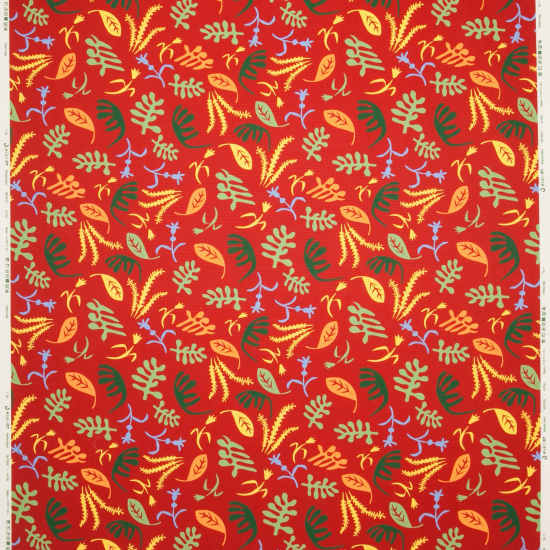 Equipo Drt Matiscal Outdoor FR 665 Rojo