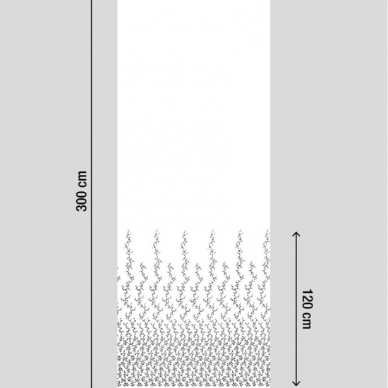 Equipo Drt Namur 999 Negro