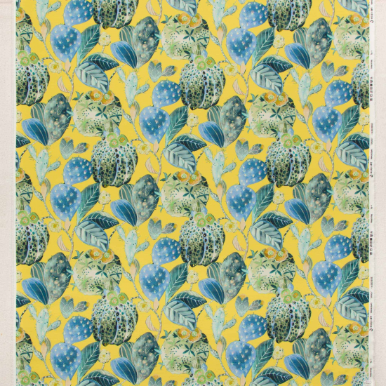 Equipo Drt Oaxaca 111 Lima