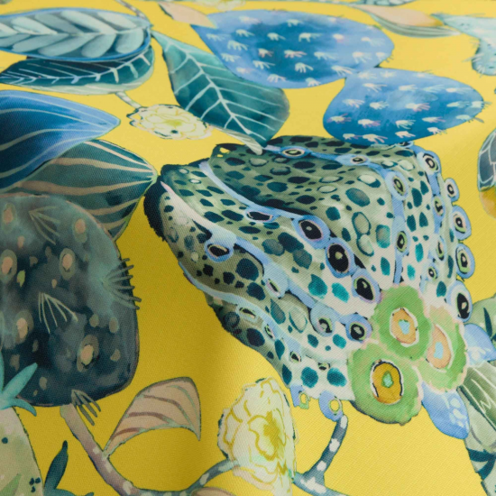 Equipo Drt Oaxaca 111 Lima