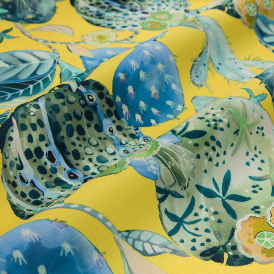 Equipo Drt Oaxaca 111 Lima