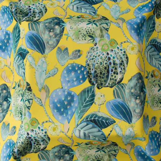 Equipo Drt Oaxaca 111 Lima