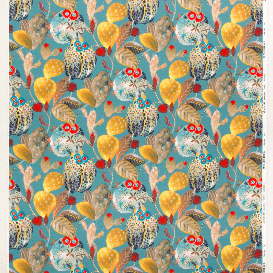 Equipo Drt Oaxaca 341 Mar