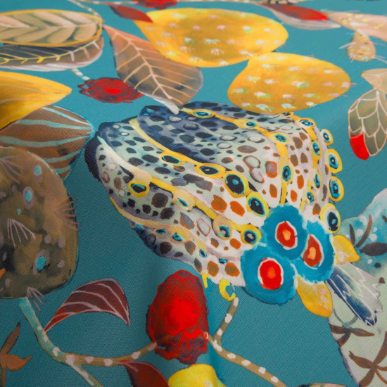 Equipo Drt Oaxaca 341 Mar