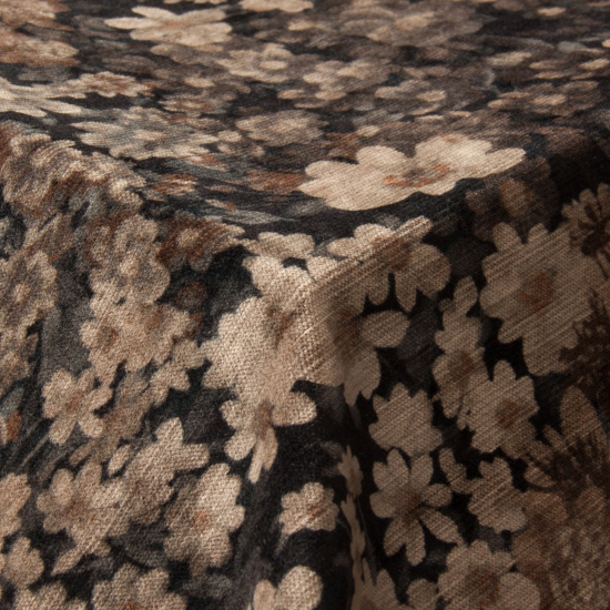 Equipo Drt Prado 229 Vison