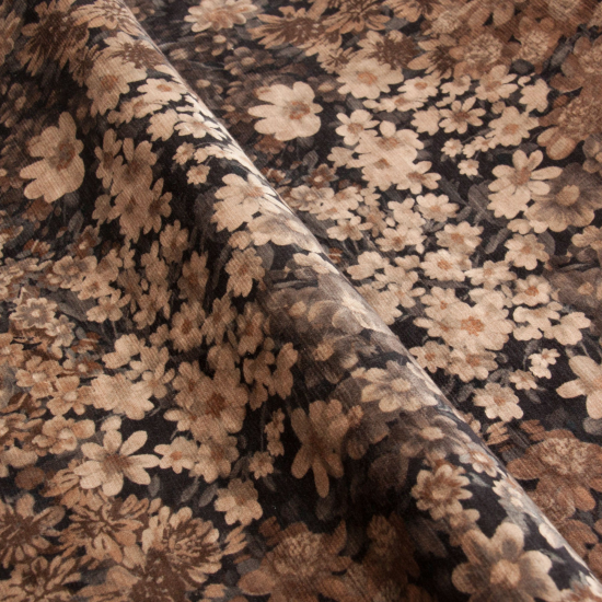 Equipo Drt Prado 229 Vison